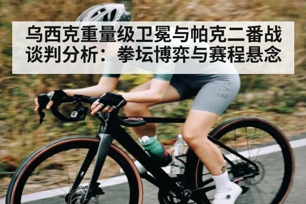 乌西克重量级卫冕与帕克二番战谈判分析:拳坛博弈与赛程悬念